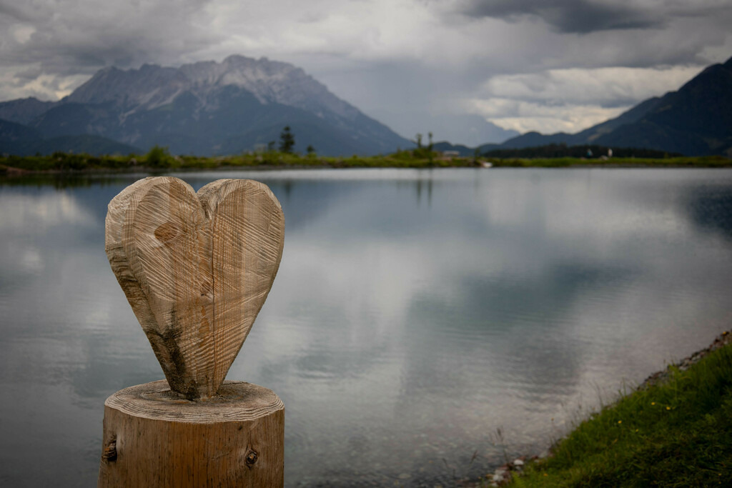 _W5A4740 | Sich an die einzigartigen Momente der Natur und Landschaft sowie die Begegnung mit heimischen wilden Tieren zu erinnern, dies kann man anhand den Bilder der Natur und Landschaftsfotografin Sandra Eimermacher.  - Realisiert mit Pictrs.com