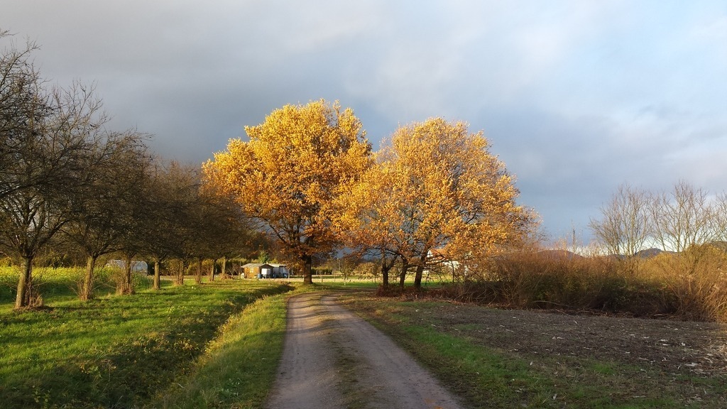 20161119_154649 | klausulrichmoeller - Realisiert mit Pictrs.com
