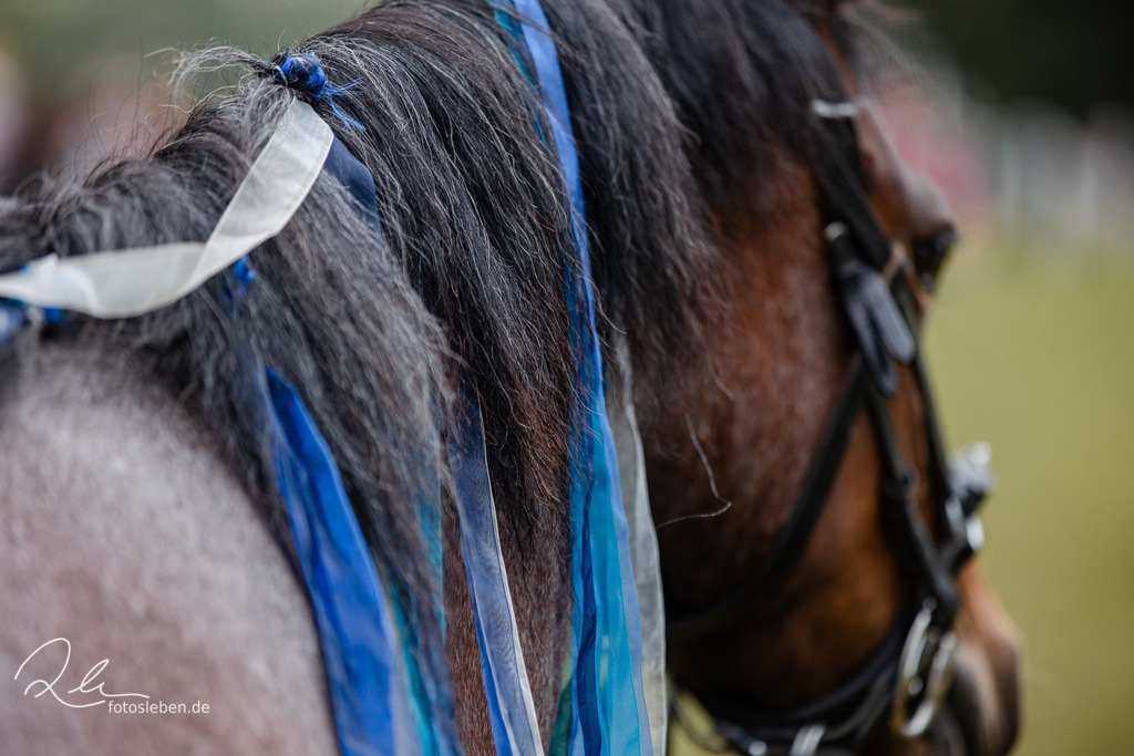 846A1884 | fotosleben - Realisiert mit Pictrs.com