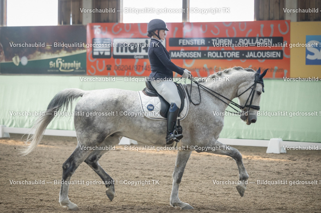 _D5A4224 | Emotionale Pferde- & People-Fotografie rund um Heidelberg, Leimen & Umgebung. Natürliche Fotos von Pferd, Mensch & Familie. Jetzt Termin sichern!