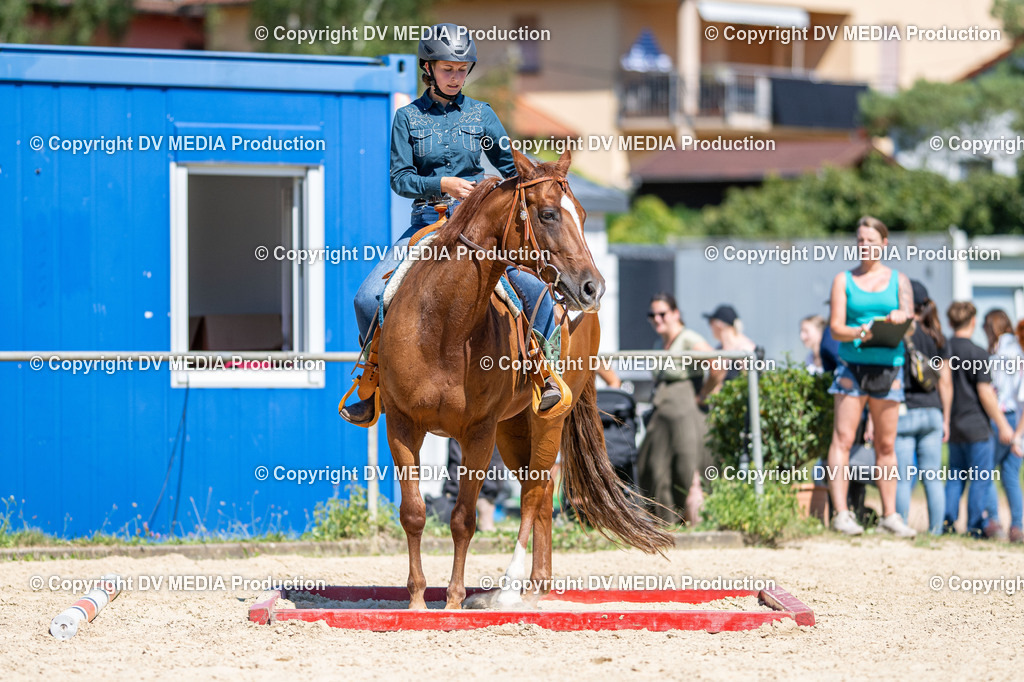 LM Heiligenwald Tag 1-1385 | dv-media-shop - Realisiert mit Pictrs.com