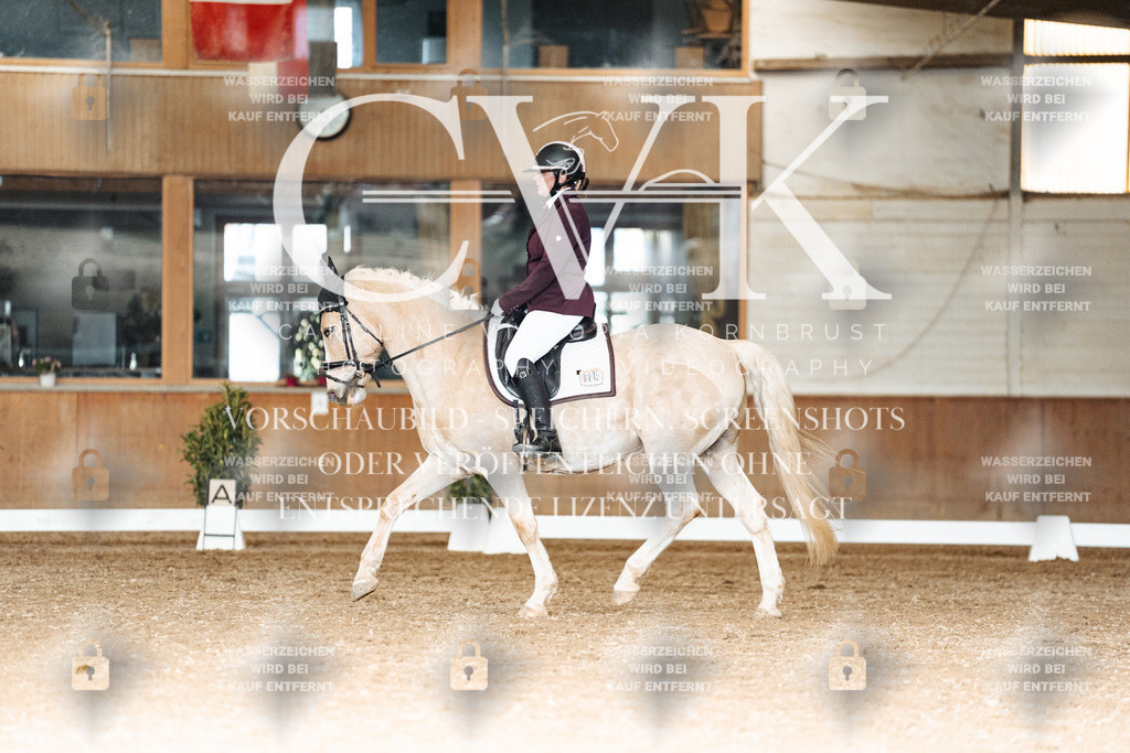 CK902622 | Turnierfotografie Pferdefotografie Trier Rheinland-Pfalz Pferdesport Reitsport Tierfotografie Sportfotografie Pferdevideo Pferdevideografie Equestrianvideography equestrianphotography  - Realisiert mit Pictrs.com