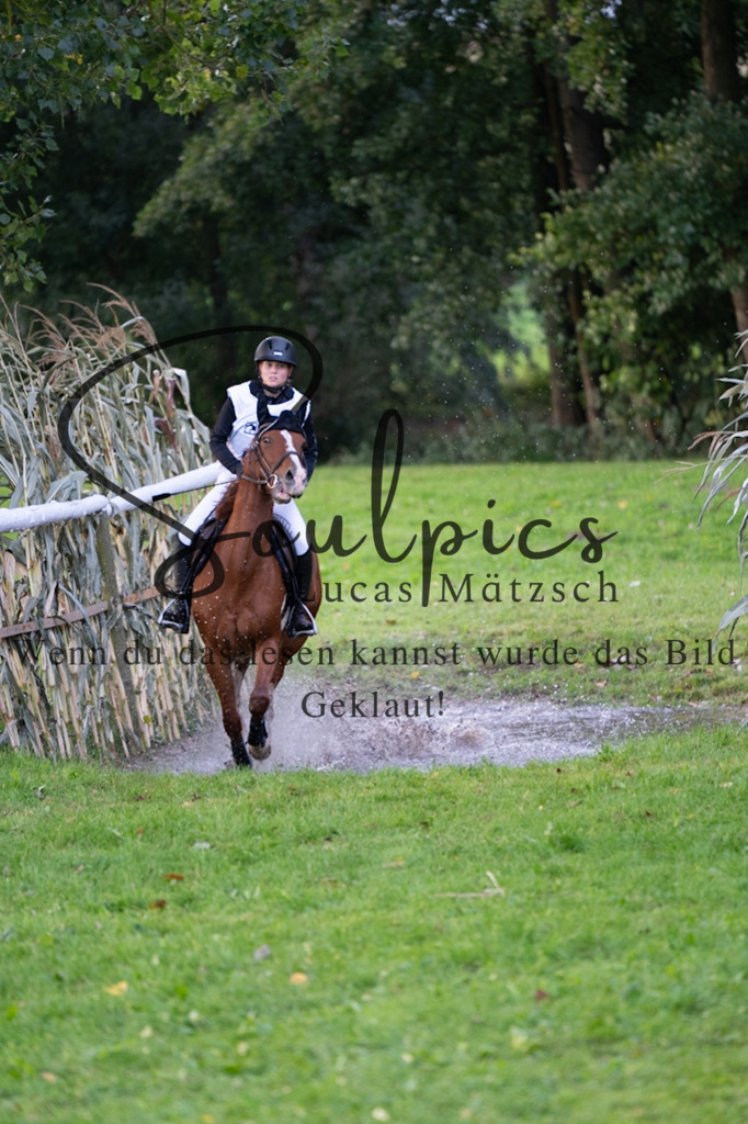 A7V02819 | Pferdefotograf