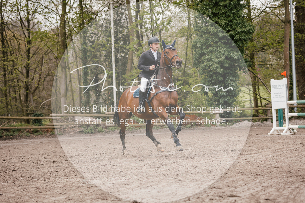 3I6A4377 | Stimmungsvolle Portraits und Reitsportfotografie im Ruhrgebiet und im Münsterland.

Pferdefotografie, Hundefotografie, Tierfotografie, Reportagen, Portraits von Tier und Mensch, Turnierfotografie in Bochum, Recklinghausen, Marl, Haltern am See, Dülmen.. - Realisiert mit Pictrs.com