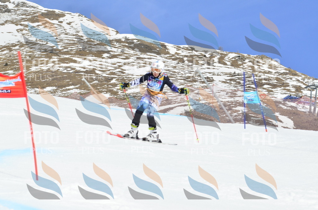 _ELE2064 | holidayphoto