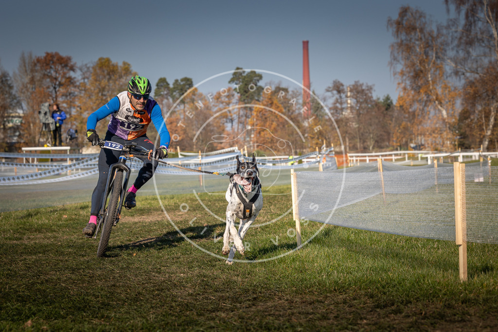 CaniXpix_0L8A6402 | Hundefotografie, Tierfotograf, Pfotenfotografie, Fotoshooting Hund, Hunde Portrait, Hundesport, Hundeportraits, Heideshooting, Hunde, Sportfotograf, Hundefotograf, Turnierhundsport, THS,  - Realisiert mit Pictrs.com