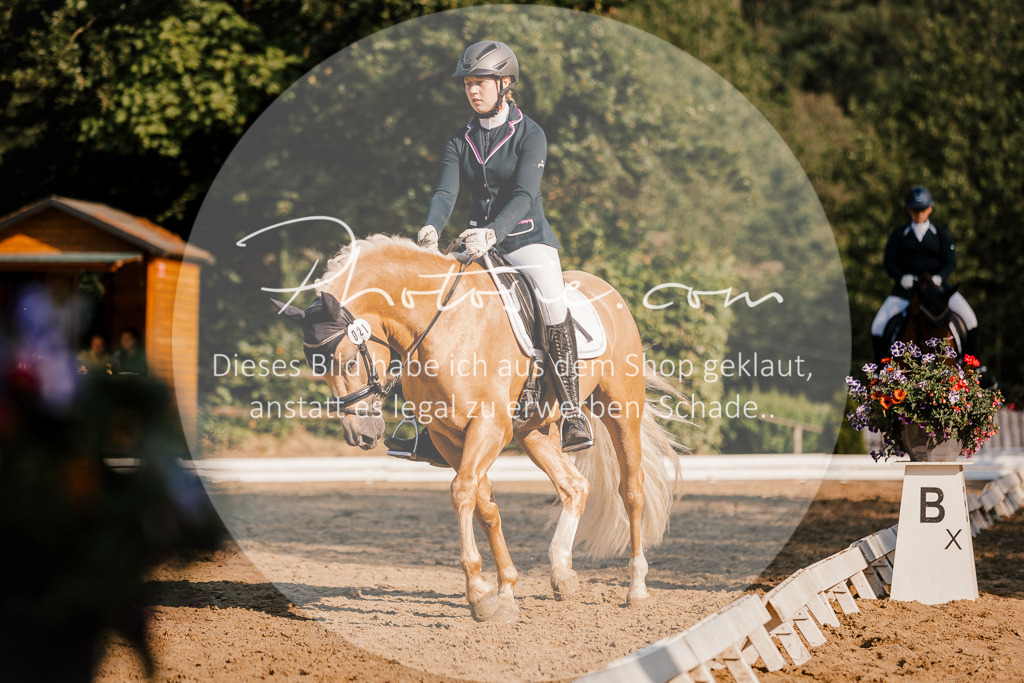 3I6A8739 | Stimmungsvolle Portraits und Reitsportfotografie im Ruhrgebiet und im Münsterland.

Pferdefotografie, Hundefotografie, Tierfotografie, Reportagen, Portraits von Tier und Mensch, Turnierfotografie in Bochum, Recklinghausen, Marl, Haltern am See, Dülmen.. - Realisiert mit Pictrs.com