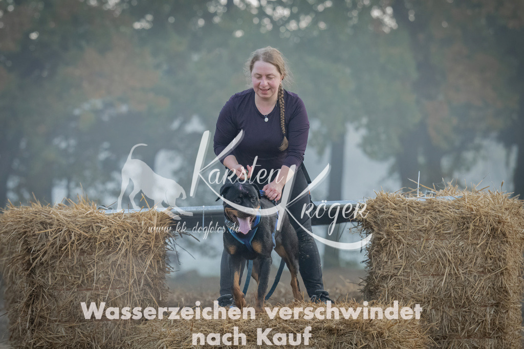 0819_ZZ97731 | kk-dogfotos