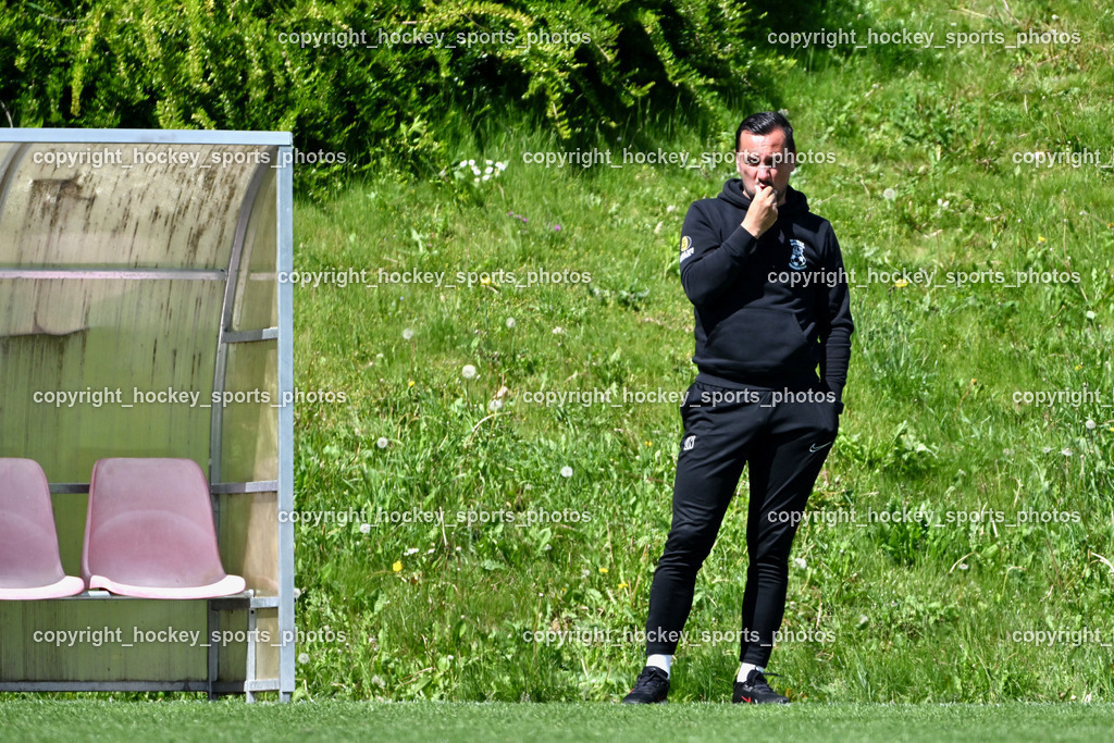 SC Landskron vs. SV Falle Maria Gail | Headcoach SV Maria Gail Neven Ilic, SC Landskron vs. SV Falle Maria Gail, SC Landskron vs. SV Falle Maria Gail am 17.05.2026 in Villach (Sportanlage Landskron), Austria, (Photo by Bernd Stefan)