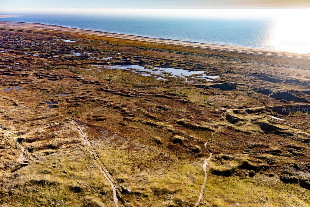 Aerial view: Wadden Sea National Park in Fanø in the state South Denmark, Denmark.Photo: IMG_118713.jpg taken on 09/21/2019 by Werner Riehm/FLY-FOTO.comResolution of the original: 5239 x 3492 px