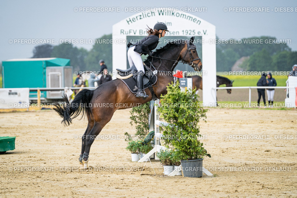 DSC04093 | Pferdegrafie