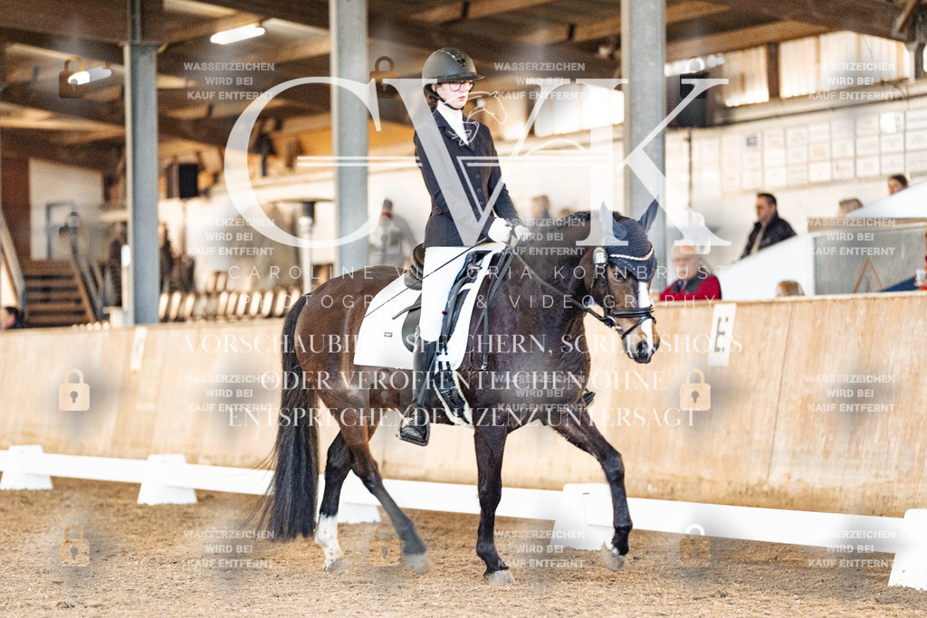 CK906937 | Turnierfotografie Pferdefotografie Trier Rheinland-Pfalz Pferdesport Reitsport Tierfotografie Sportfotografie Pferdevideo Pferdevideografie Equestrianvideography equestrianphotography  - Realisiert mit Pictrs.com
