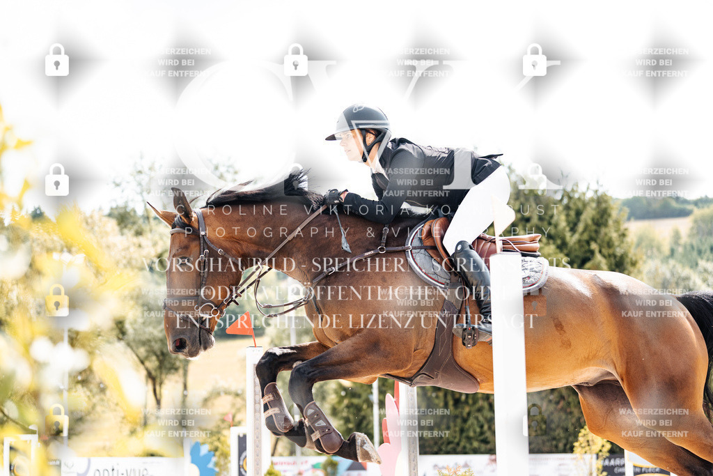 CK909114 | Turnierfotografie Pferdefotografie Trier Rheinland-Pfalz Pferdesport Reitsport Tierfotografie Sportfotografie Pferdevideo Pferdevideografie Equestrianvideography equestrianphotography  - Realisiert mit Pictrs.com