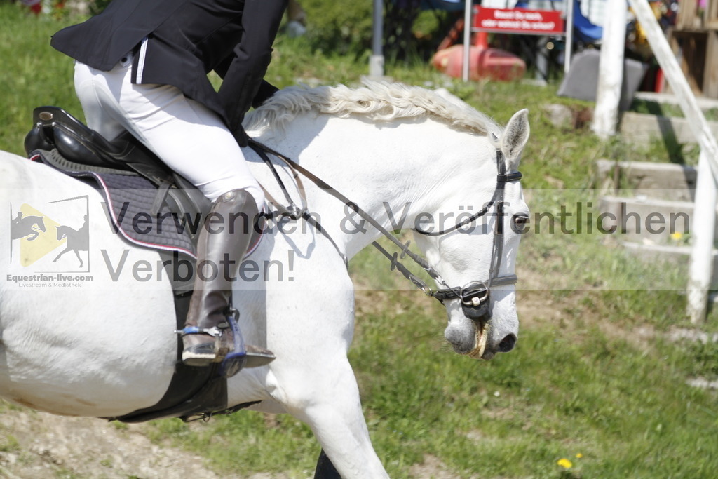 _MG_9403 | equestrian-live-com