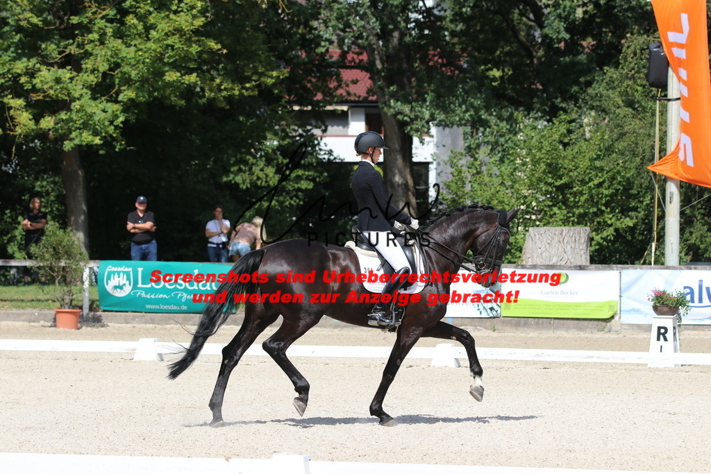 IMG_5292 | lmwpictures - Realisiert mit Pictrs.com