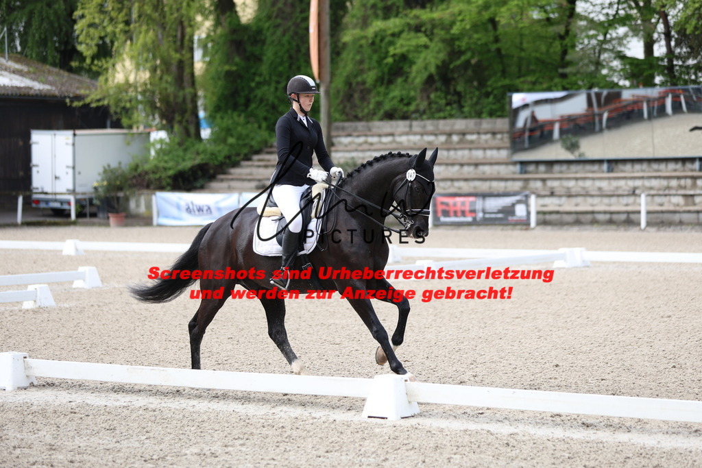 A40A0319 | lmwpictures - Realisiert mit Pictrs.com