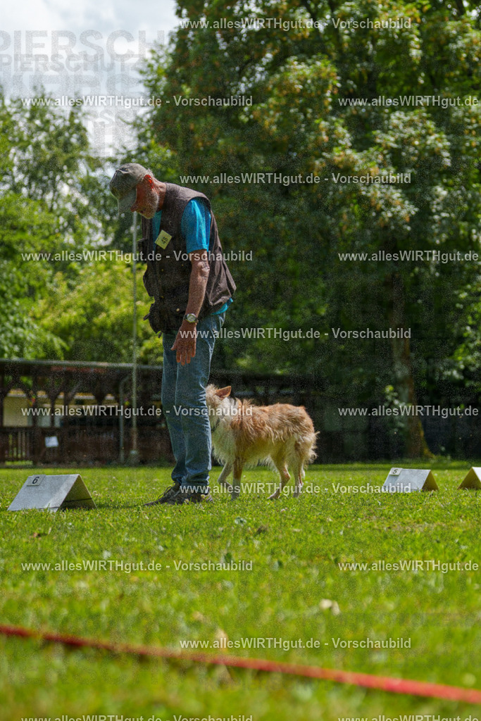 @allesWIRTHgut_Tierfotografie - www.allesWIRTHgut.de - 7R505545 | Professionelle Tierfotografie in Mönchengladbach von Daniel Wirth (allesWIRTHgut). Liebevolle & natürliche Bilder von Hunden & Katzen für unvergessliche Erinnerungen.