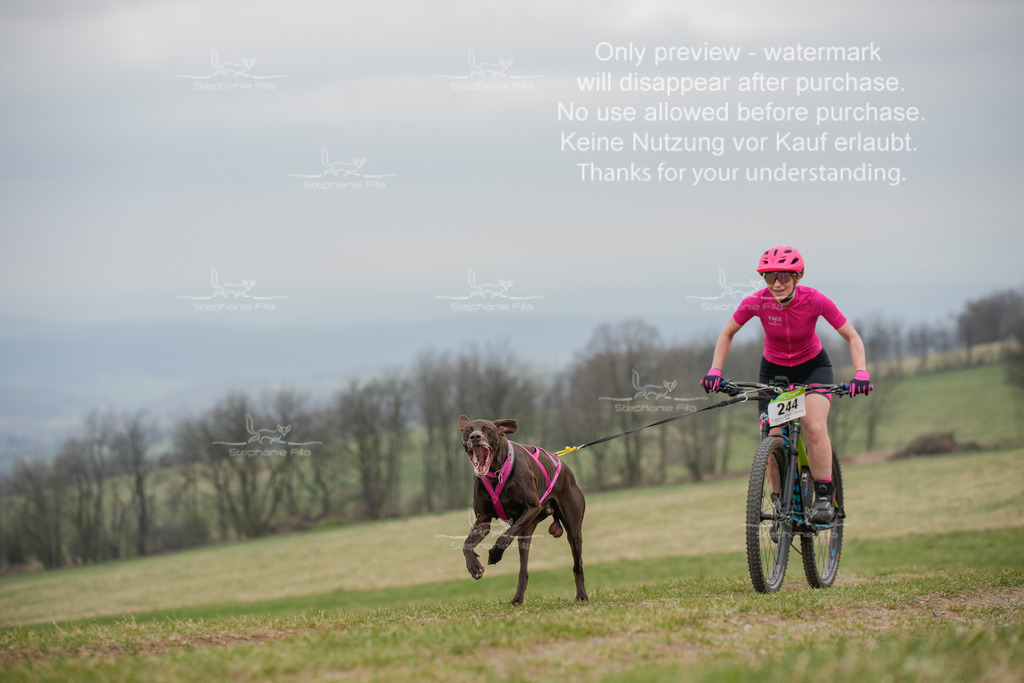 BikeSA-260 | stephaniefillaphotographie - Realisiert mit Pictrs.com