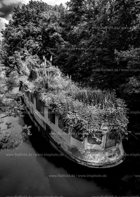 Pflanzenschiff | Gesehen in Frankfurt am Main