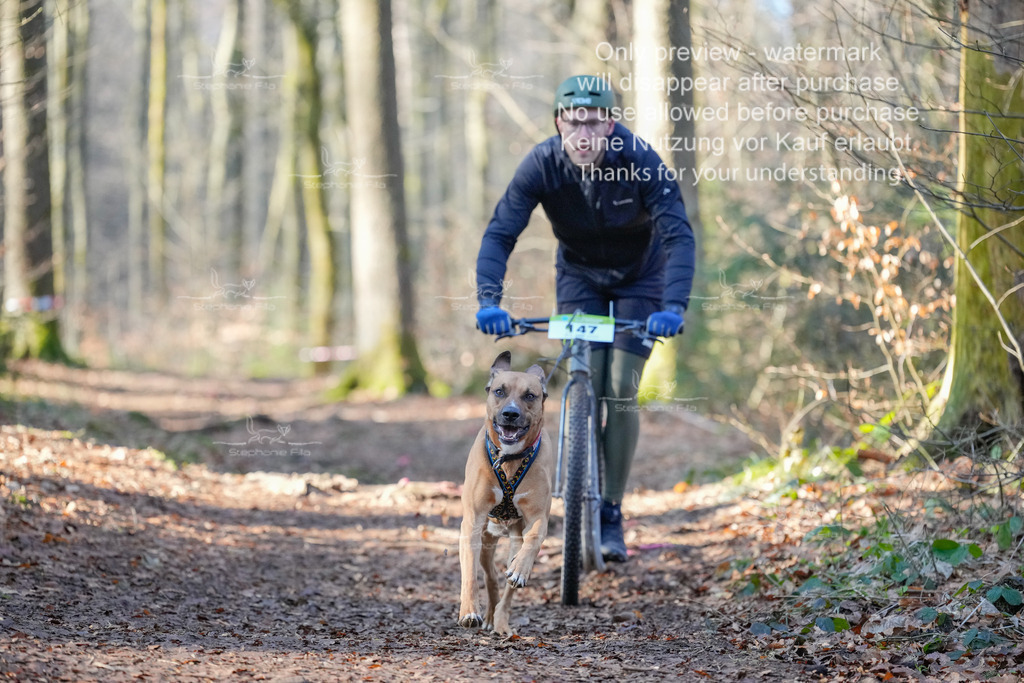 Scooter_So_So-37 | stephaniefillaphotographie - Realisiert mit Pictrs.com