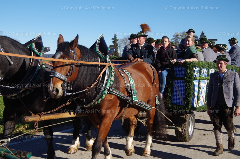 IMGP8439 | fotografiert von Axel PollmannLeonhardi Wallfahrt Benediktbeuern und Murnau, Fronleichnam, Fasching, Landschaft im Loisachtal und Benediktbeuern  - Realisiert mit Pictrs.com