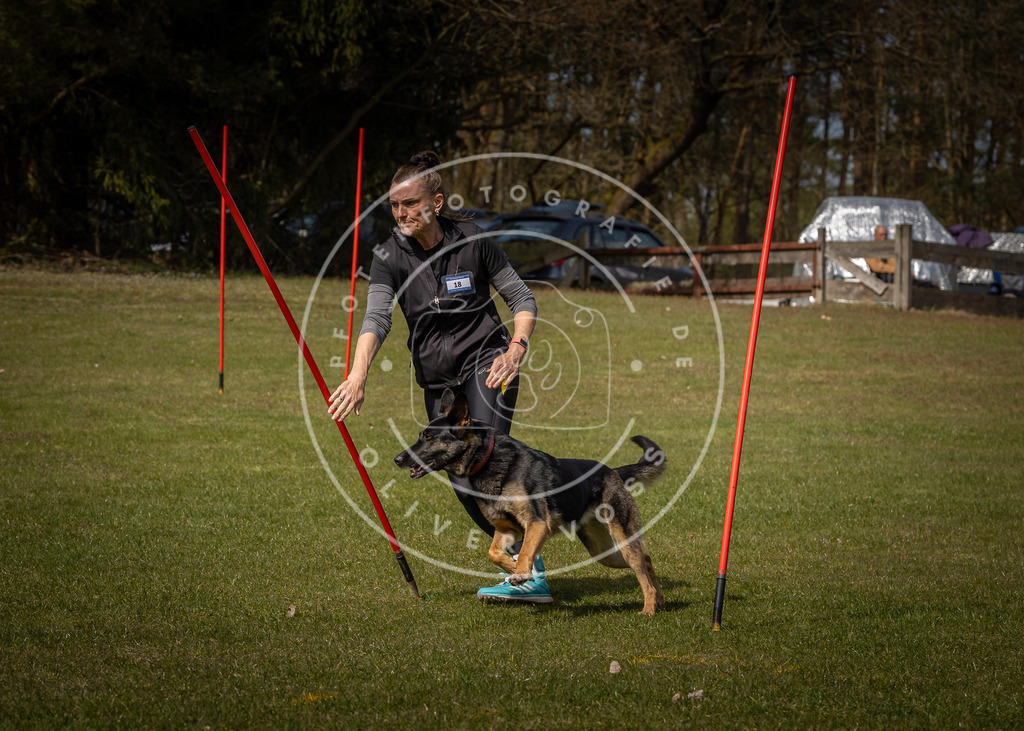 Pfotenfotografie_DV3A4222 | Hundefotografie, Tierfotograf, Pfotenfotografie, Fotoshooting Hund, Hunde Portrait, Hundesport, Hundeportraits, Heideshooting, Hunde, Sportfotograf, Hundefotograf, Turnierhundsport, THS,  - Realisiert mit Pictrs.com