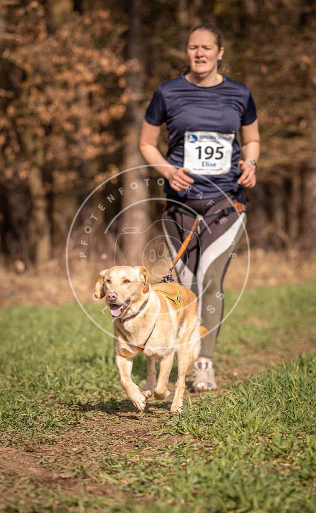 DV3A6255 | Hundefotografie, Tierfotograf, Pfotenfotografie, Fotoshooting Hund, Hunde Portrait, Hundesport, Hundeportraits, Heideshooting, Hunde, Sportfotograf, Hundefotograf, Turnierhundsport, THS,  - Realisiert mit Pictrs.com