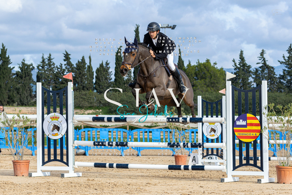 IMG_2068 | s-jay-photography - Realisiert mit Pictrs.com