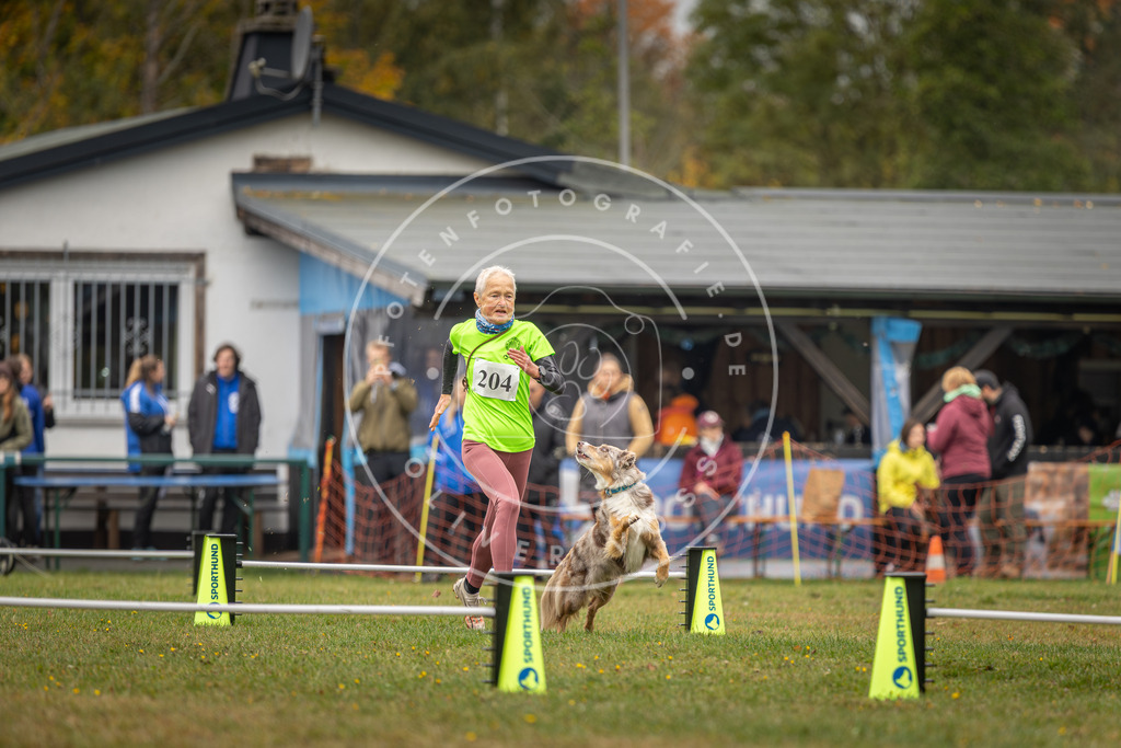 Pfotenfotografie_DV3A1679 | Hundefotografie, Tierfotograf, Pfotenfotografie, Fotoshooting Hund, Hunde Portrait, Hundesport, Hundeportraits, Heideshooting, Hunde, Sportfotograf, Hundefotograf, Turnierhundsport, THS,  - Realisiert mit Pictrs.com