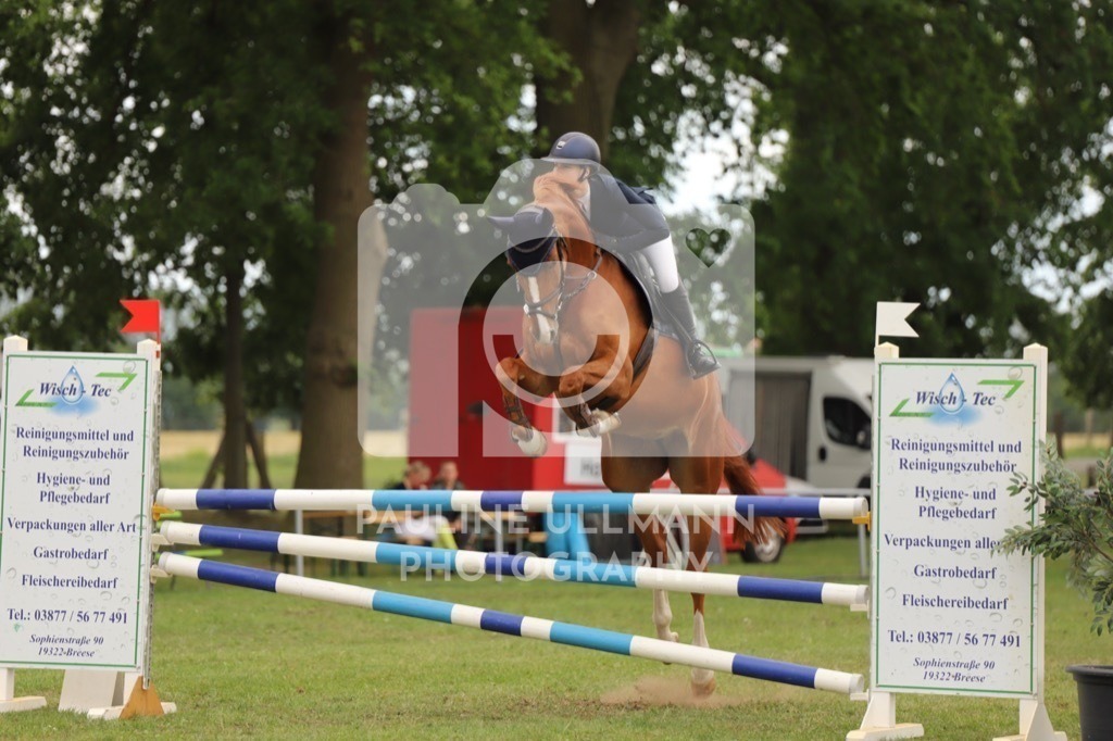 IMG_7924 | Pauline Ullmann Photography - Realisiert mit Pictrs.com