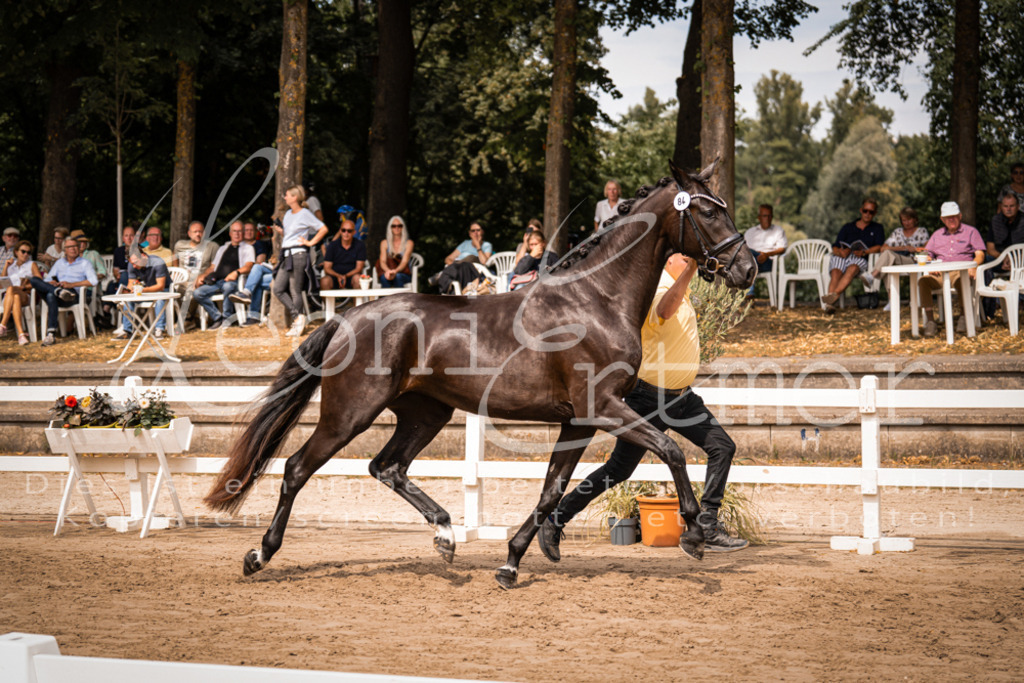 5.Fr00011 | Leoni Ertmer Photography - Realisiert mit Pictrs.com