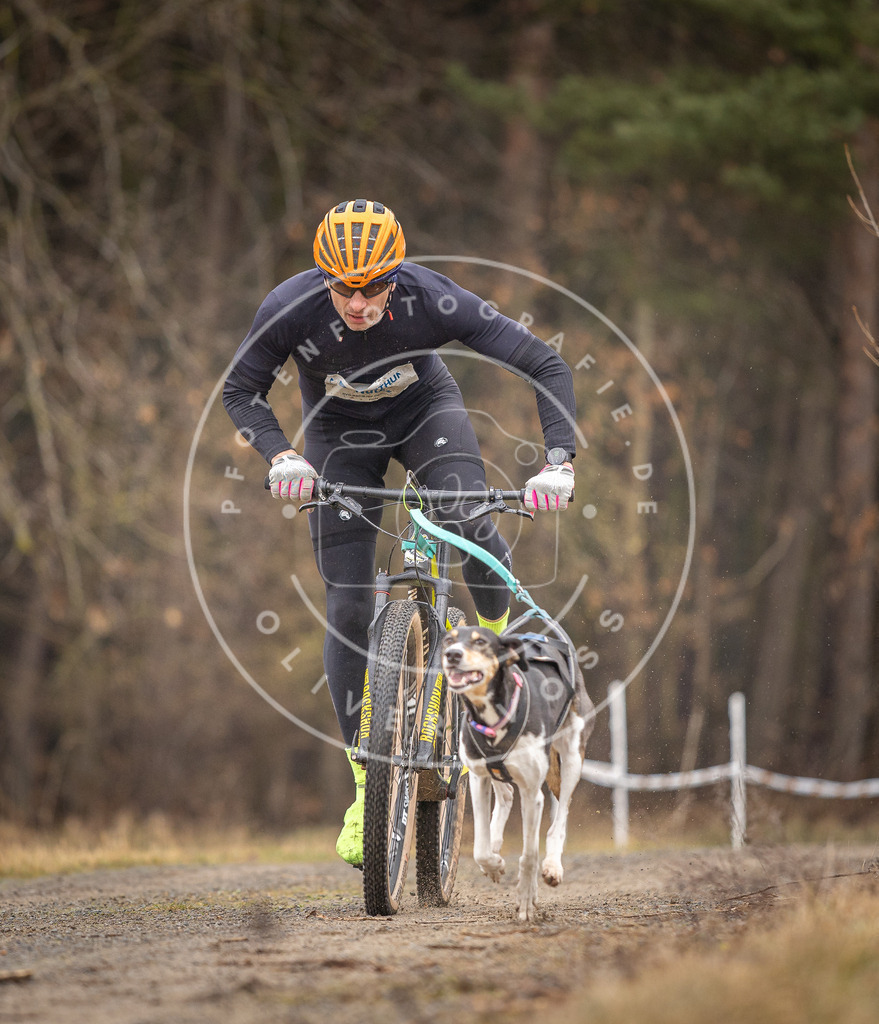 DV3A3186 | Hundefotografie, Tierfotograf, Pfotenfotografie, Fotoshooting Hund, Hunde Portrait, Hundesport, Hundeportraits, Heideshooting, Hunde, Sportfotograf, Hundefotograf, Turnierhundsport, THS,  - Realisiert mit Pictrs.com