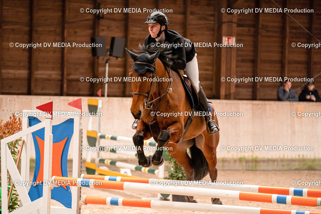 Springen Tag 1-349 | dv-media-shop - Realisiert mit Pictrs.com