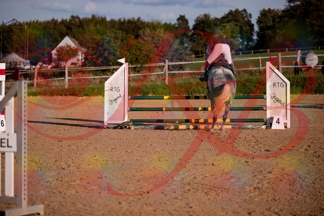 2026_10_03_Siefer-Hof_171404_Z81_11318270 | Professionelle Reitsport-, Turnier- und Eventfotografie von Robert Broda. Galerien mit ausgewählten und bearbeiteten Bildern direkt online ansehen und bestellen.