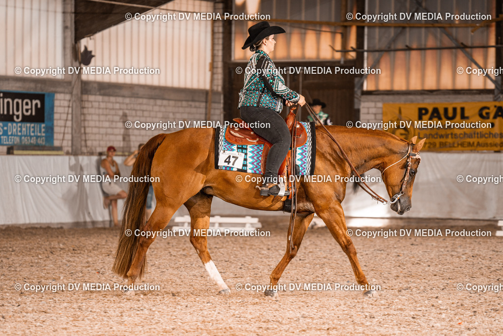 ZH100140 | dv-media-shop - Realisiert mit Pictrs.com