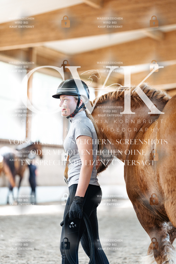 CK906443 | Turnierfotografie Pferdefotografie Trier Rheinland-Pfalz Pferdesport Reitsport Tierfotografie Sportfotografie Pferdevideo Pferdevideografie Equestrianvideography equestrianphotography  - Realisiert mit Pictrs.com