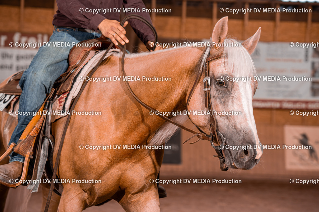 NE300544 | dv-media-shop - Realisiert mit Pictrs.com