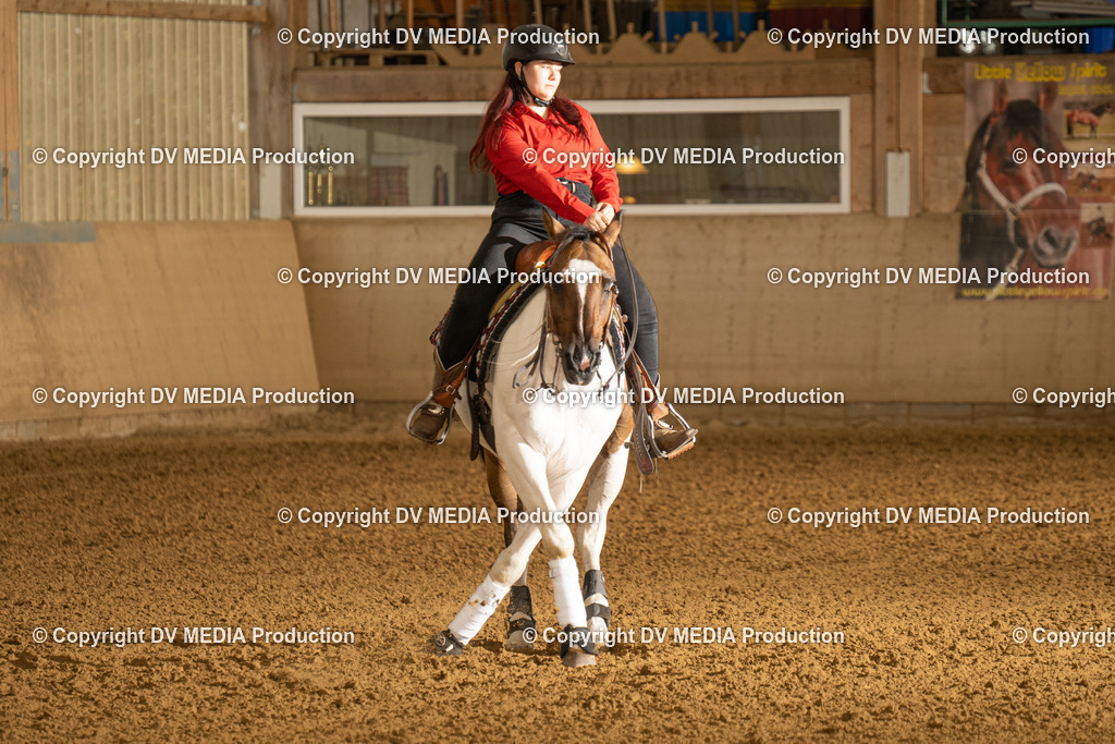 LAU00689 | dv-media-shop - Realisiert mit Pictrs.com