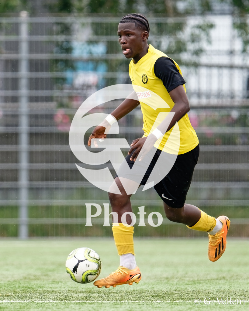 DSC_6750 | Velletri Photo