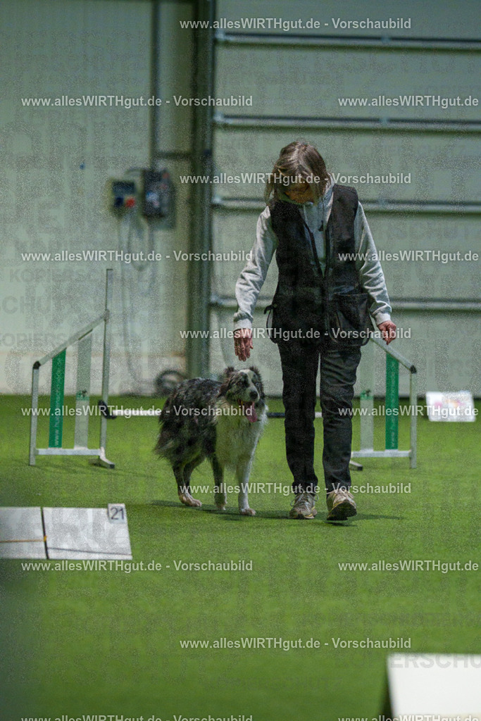 7R504469 | Professionelle Tierfotografie in Mönchengladbach von Daniel Wirth (allesWIRTHgut). Liebevolle & natürliche Bilder von Hunden & Katzen für unvergessliche Erinnerungen.