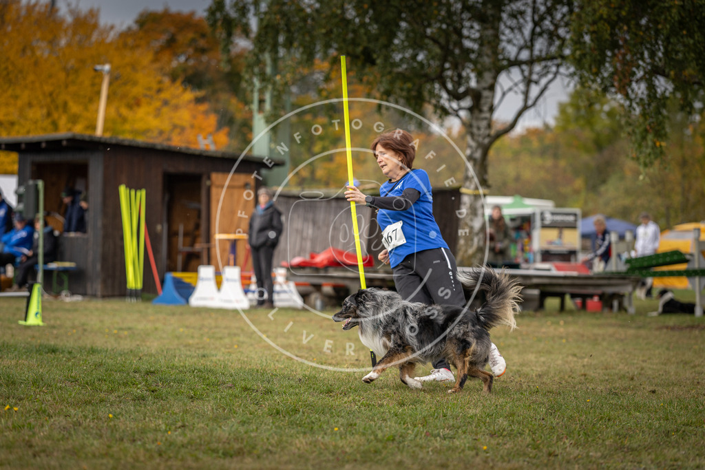 Pfotenfotografie_DV3A5669 | Hundefotografie, Tierfotograf, Pfotenfotografie, Fotoshooting Hund, Hunde Portrait, Hundesport, Hundeportraits, Heideshooting, Hunde, Sportfotograf, Hundefotograf, Turnierhundsport, THS,  - Realisiert mit Pictrs.com