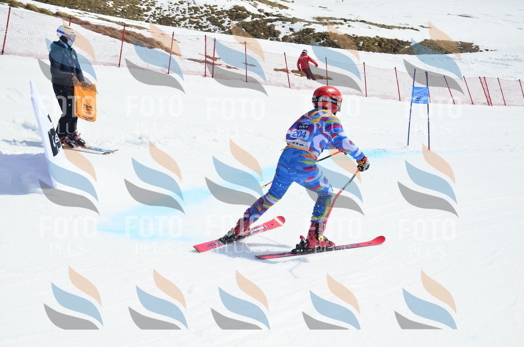 _ELE1399 | holidayphoto