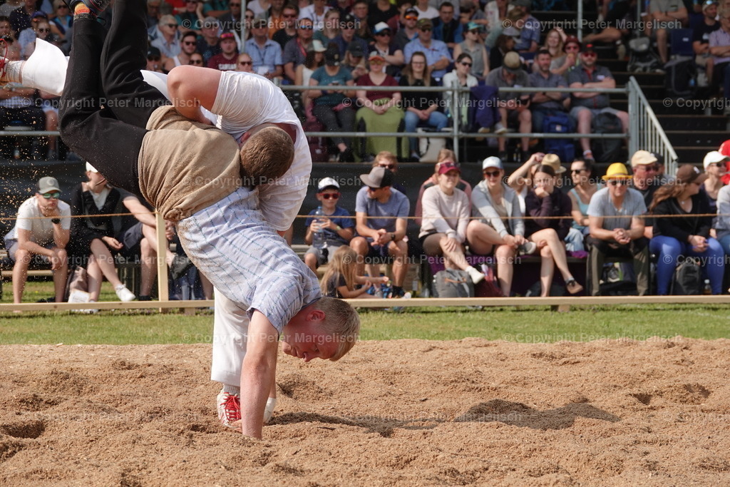 DSC04514 | Schwingen - Realisiert mit Pictrs.com