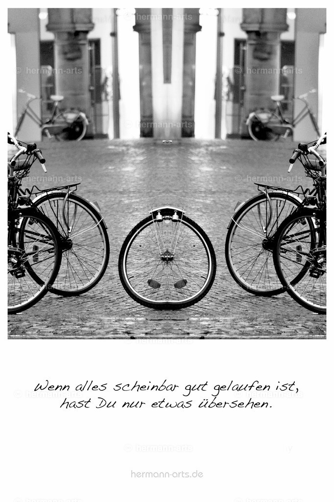 PK_Zitate_10x15_BW-029 | Photo Foto Kunst Art schwarzweiss Bilder Rheine Münster Berlin Blumen 