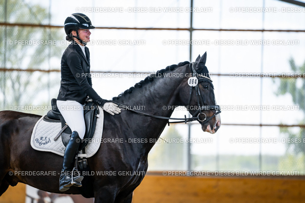 DSC06010 | Pferdegrafie