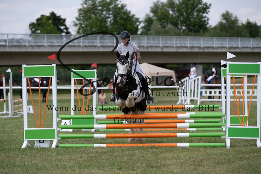 A7V00299 | Pferdefotograf