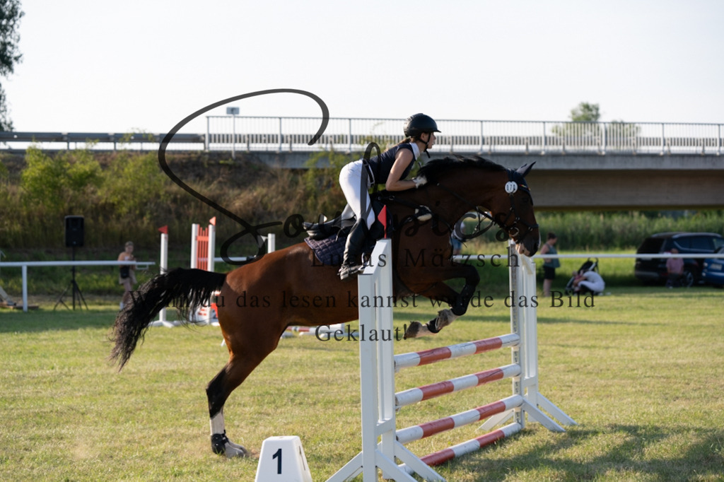 A7V00951 | Pferdefotograf