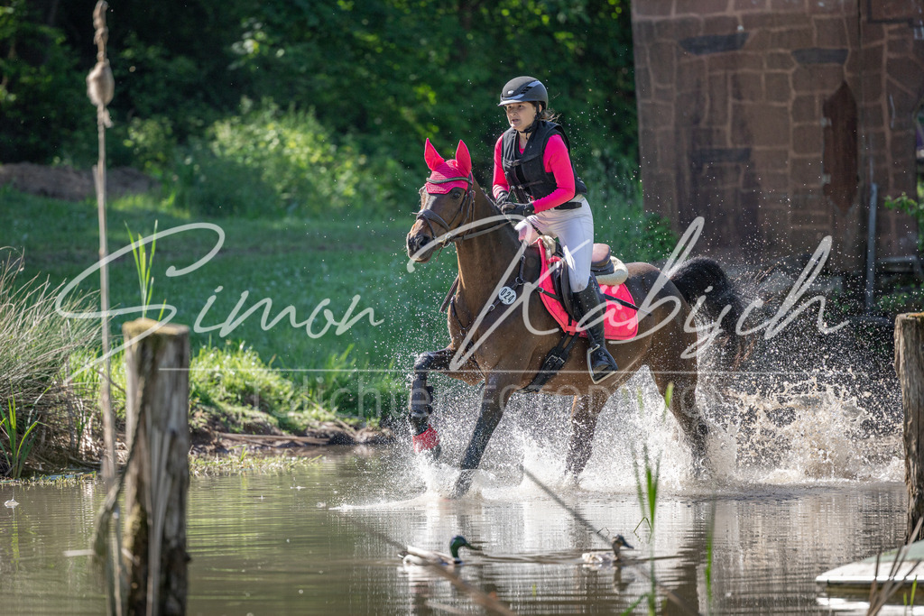 20260523-_3LI6888 | Tierfotografie Pferde, Hunde, Katzen, Haustiere.
Turnierfotografie Reitturniere, Reiten, Springreiten, Dressur in Hanau, dem Main-Kinzig-Kreis und dem Rhein-Main- Gebiet um Frankfurt
