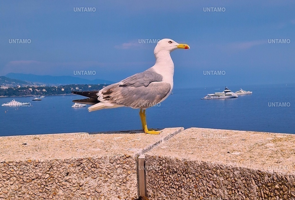 20250621_153520 | untamo - Realisiert mit Pictrs.com