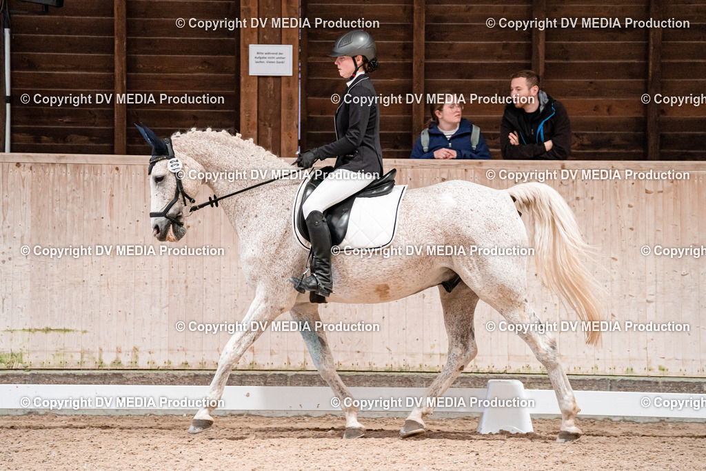 Dressur Tag 2-412 | dv-media-shop - Realisiert mit Pictrs.com